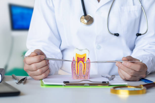 Best Emergency Dental Care for Abscessed Tooth in Orting, WA